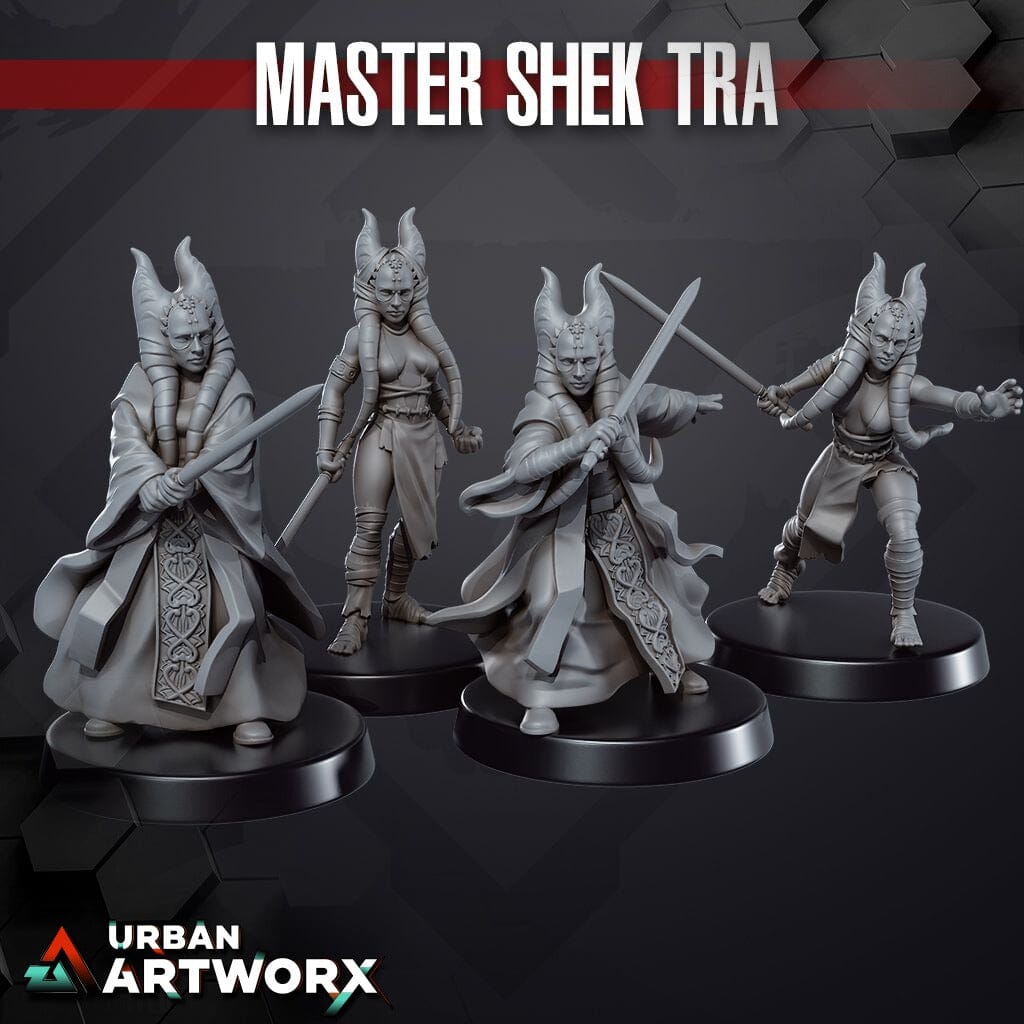 Tabletop Miniaturen - Skullforge Studios - Master Shek Tra (4) Skullforge Studios