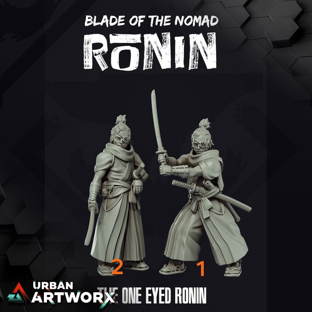 Tabletop Miniaturen - Skullforge Studios - Ronin: The One Eyed Ronin (6) Skullforge Studios