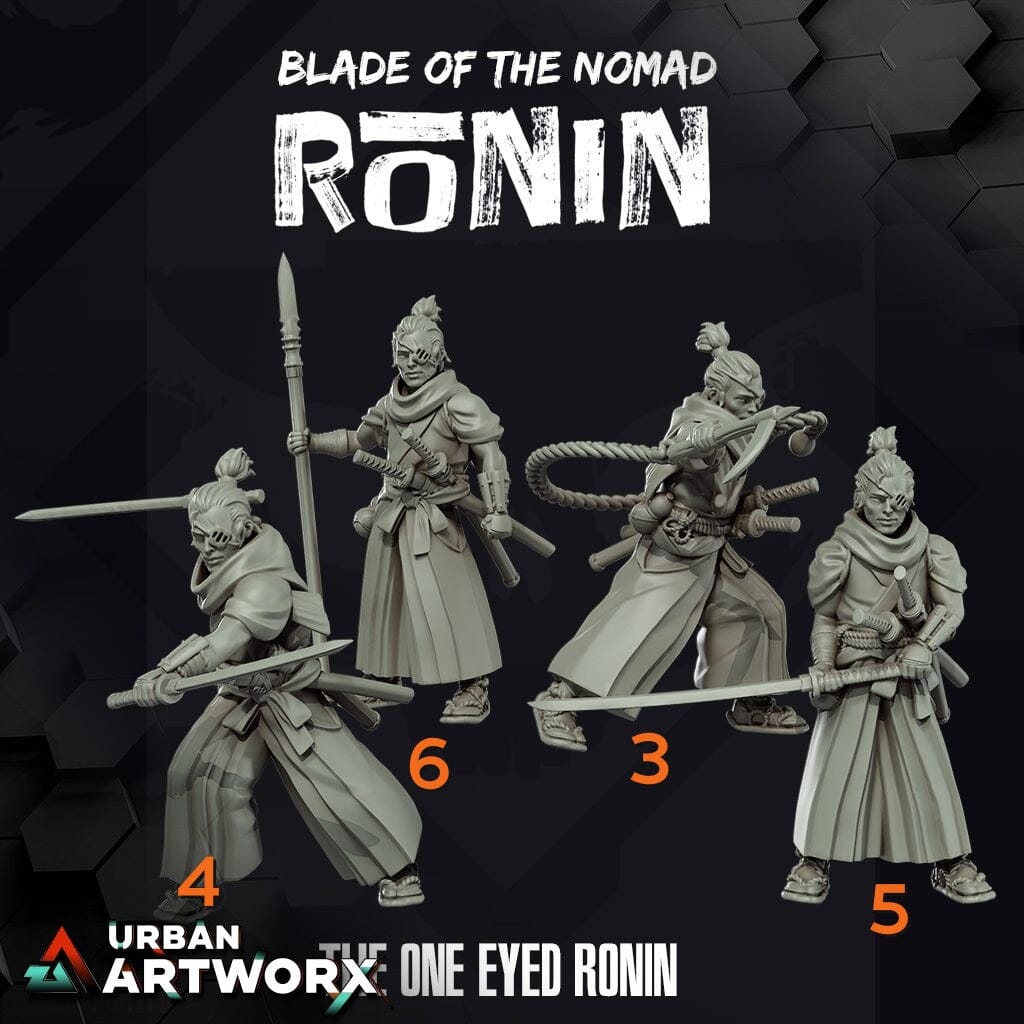 Tabletop Miniaturen - Skullforge Studios - Ronin: The One Eyed Ronin (6) Skullforge Studios