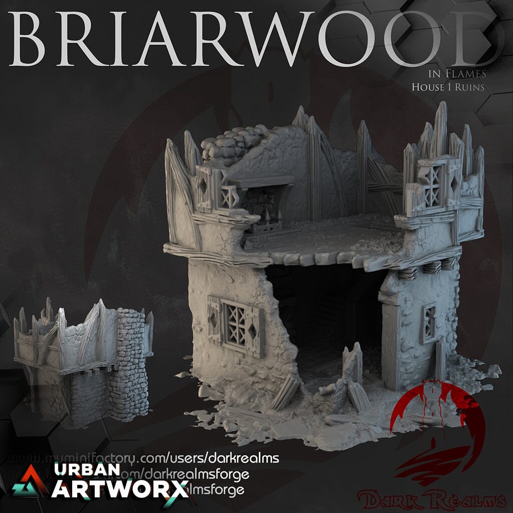Tabletopgelände - Dark Realms - Briarwood - House 1 Ruins Dark Realms