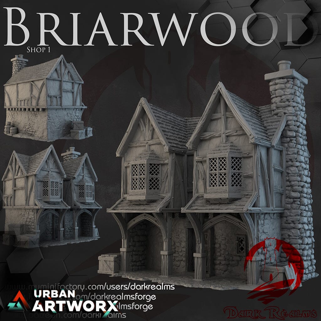 Tabletopgelände - Dark Realms - Briarwood - Shop 1 Dark Realms