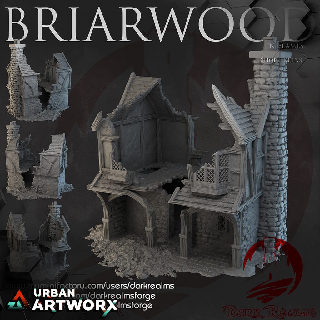 Tabletopgelände - Dark Realms - Briarwood - Shop 1 Ruins Dark Realms