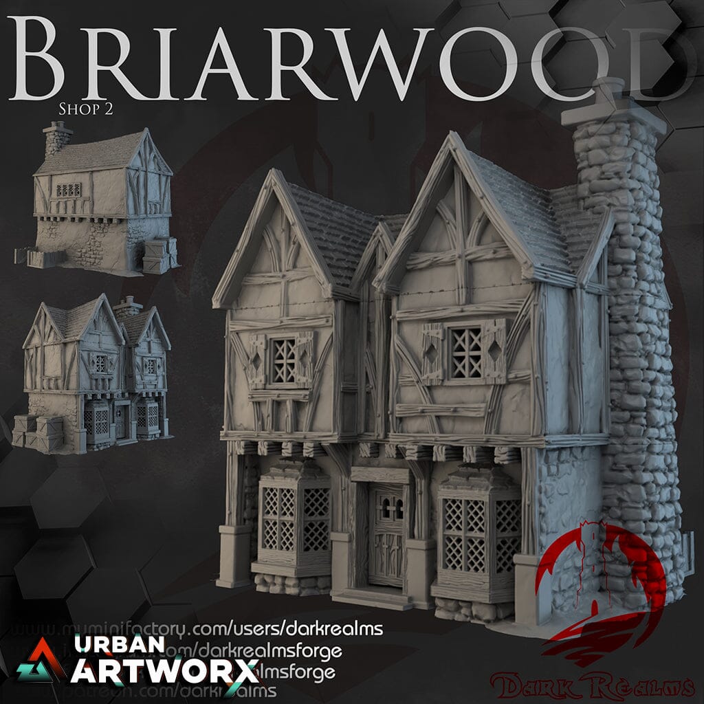 Tabletopgelände - Dark Realms - Briarwood - Shop 2 Dark Realms 