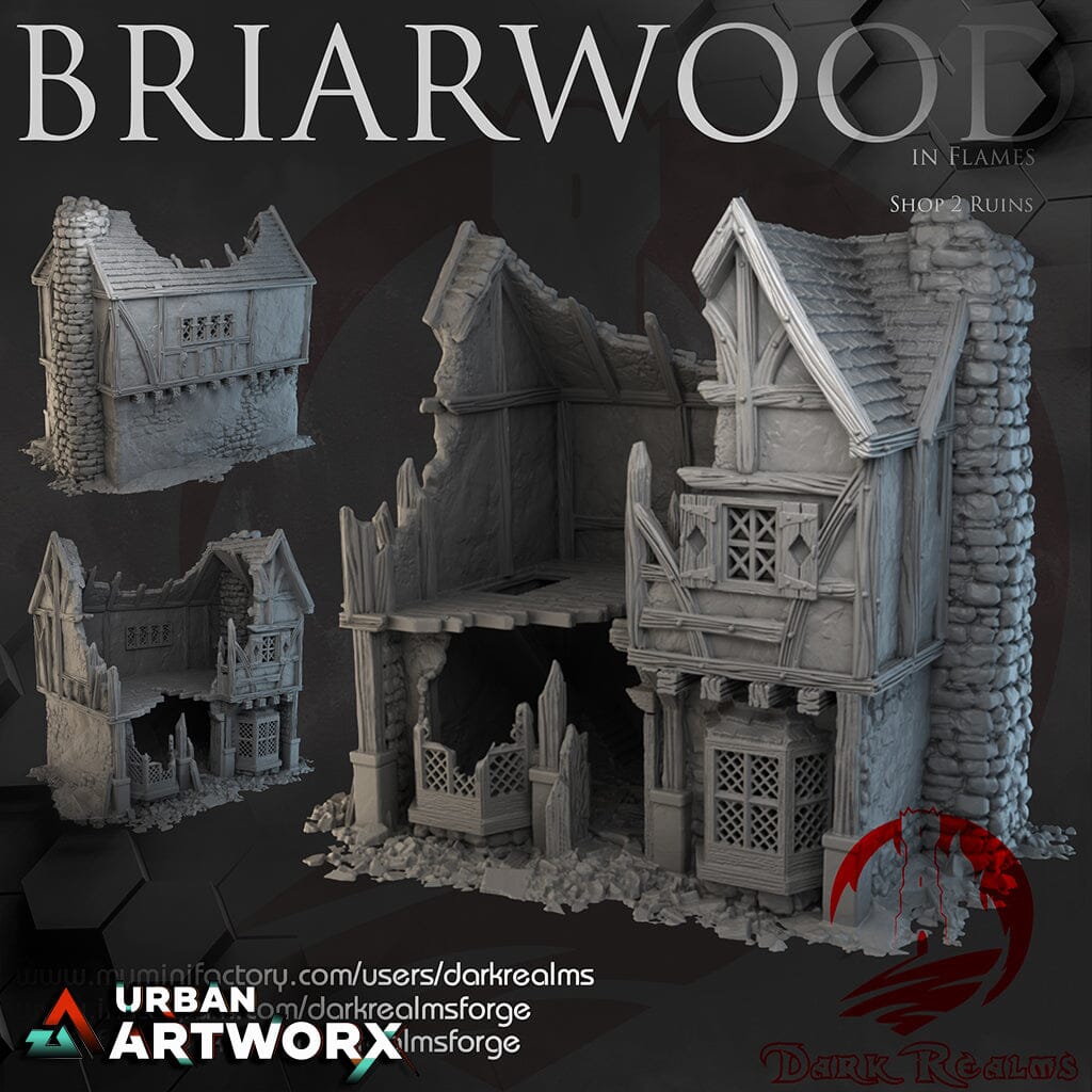 Tabletopgelände - Dark Realms - Briarwood - Shop 2 Ruins Dark Realms