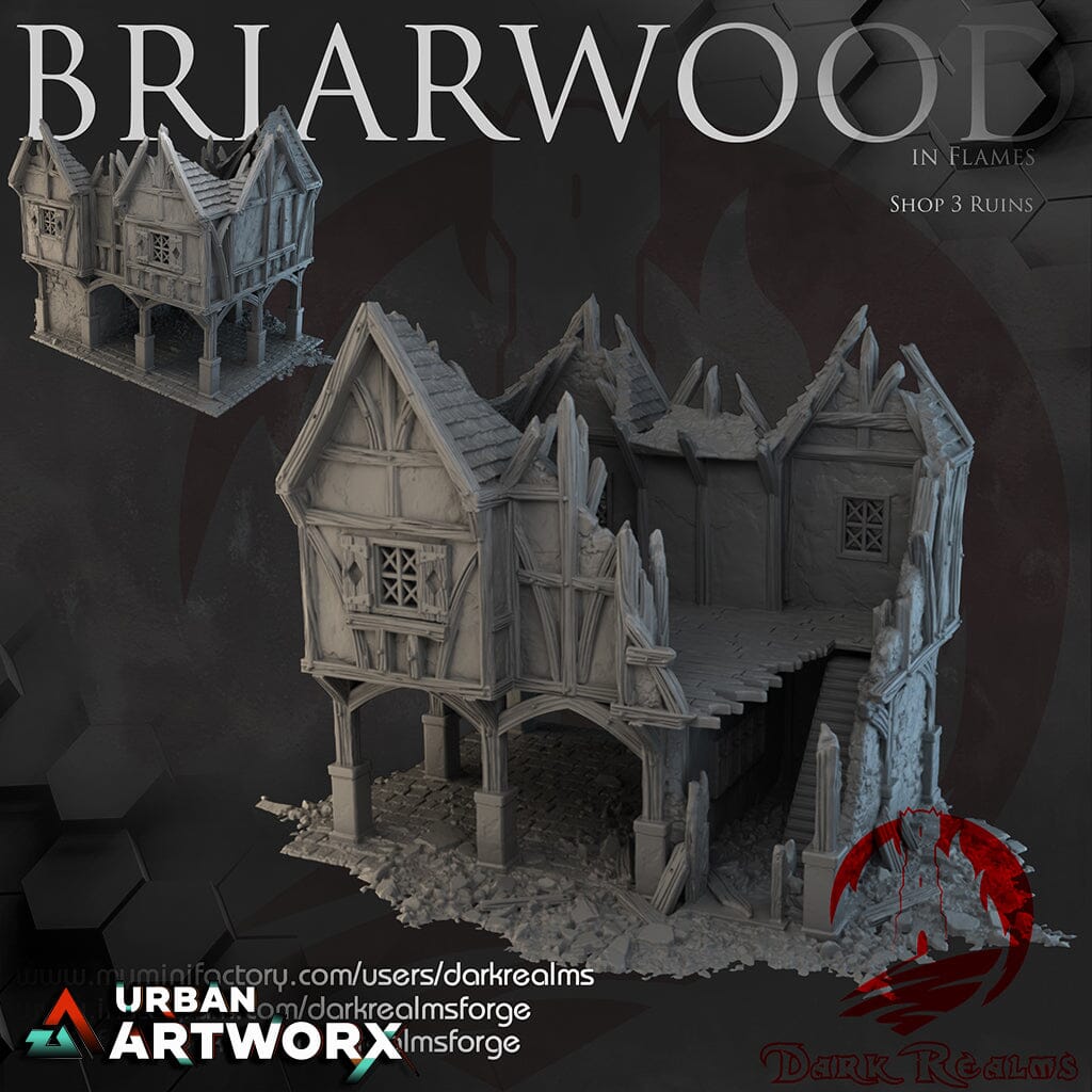 Tabletopgelände - Dark Realms - Briarwood - Shop 3 Ruins Dark Realms