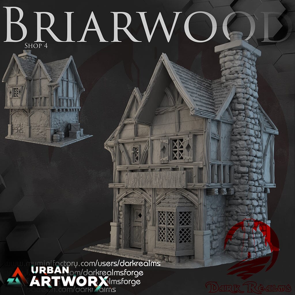 Tabletopgelände - Dark Realms - Briarwood - Shop 4 Dark Realms
