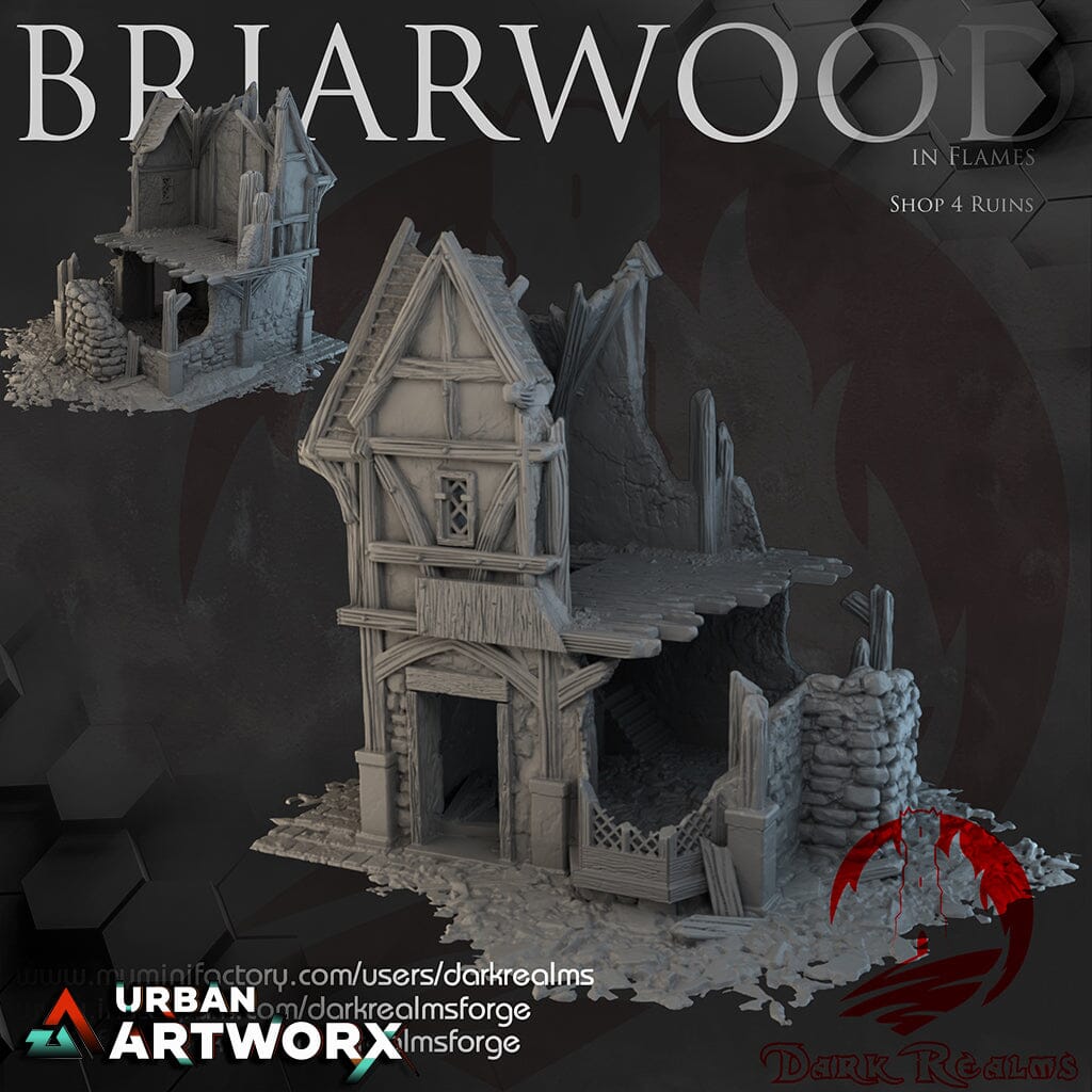 Tabletopgelände - Dark Realms - Briarwood - Shop 4 Ruins Dark Realms