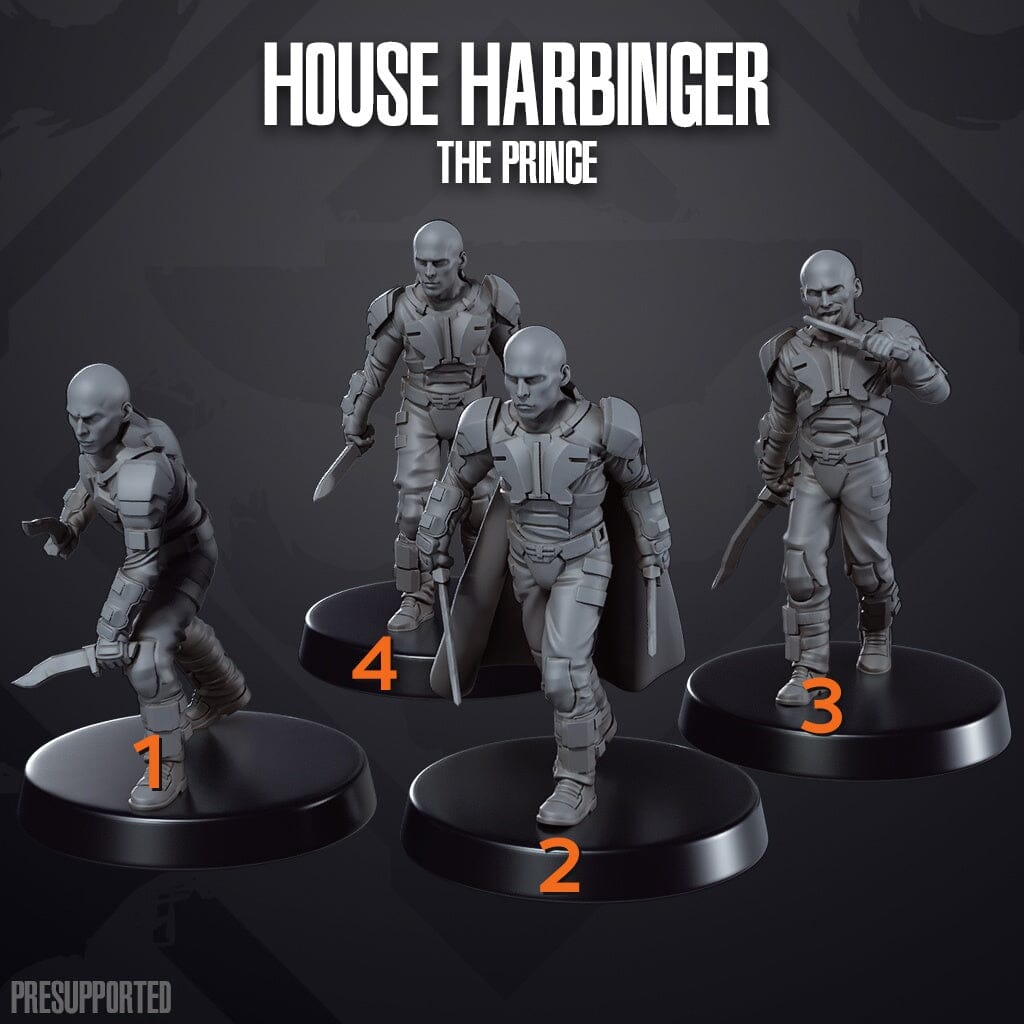 Tabletop Miniaturen - Skullforge Studios - Dune - House Harbinger The Prince (4) Skullforge Studios 