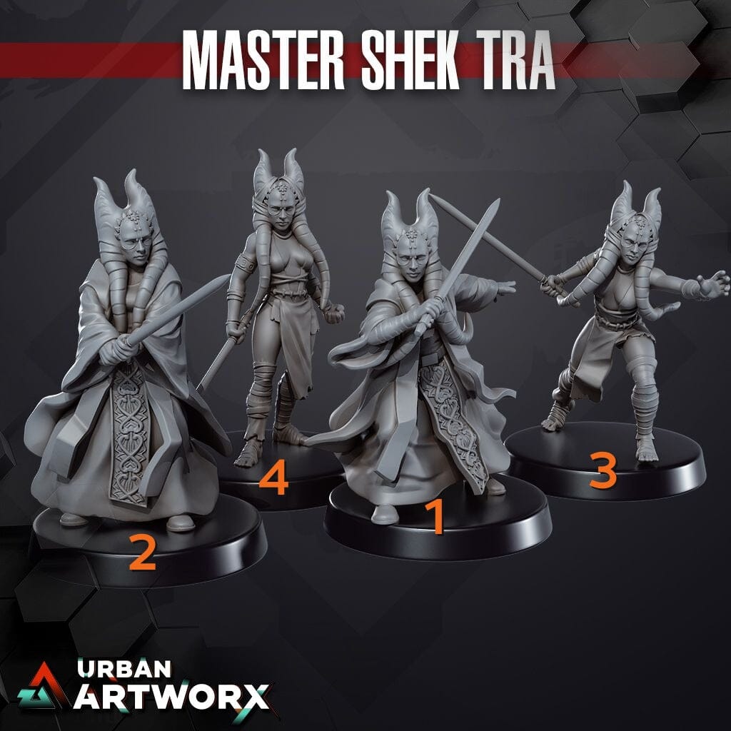 Tabletop Miniaturen - Skullforge Studios - Master Shek Tra (4) Skullforge Studios 