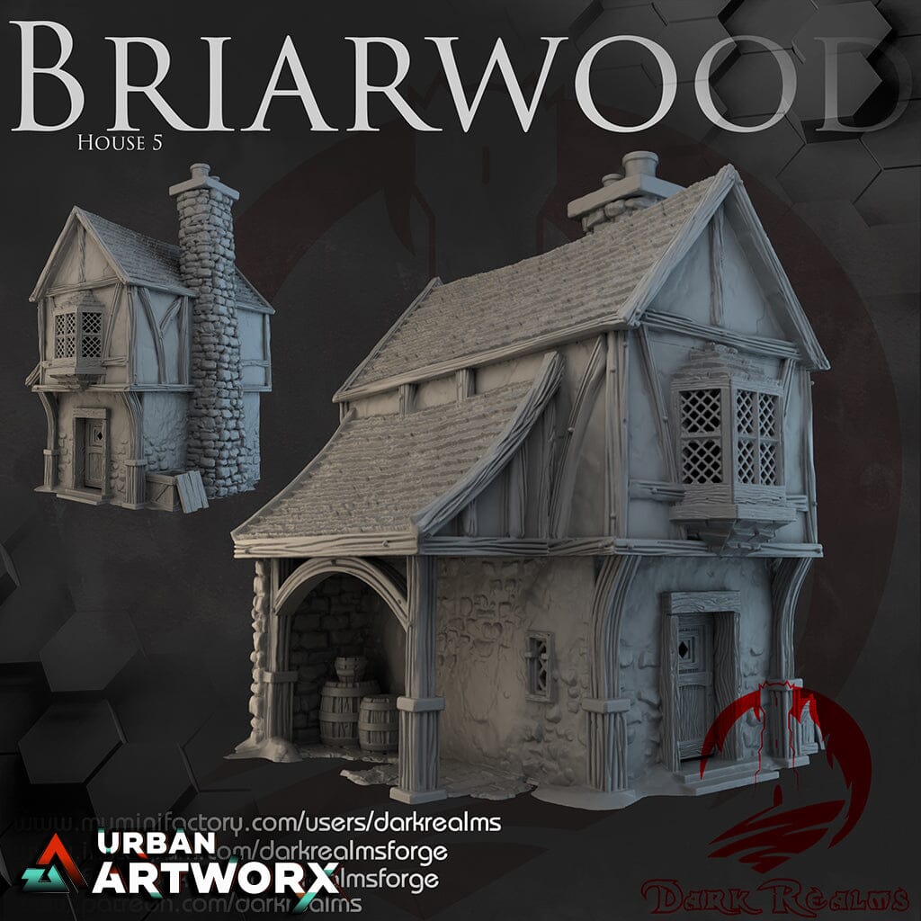 Tabletopgelände - Dark Realms - Briarwood - House 5 Dark Realms 