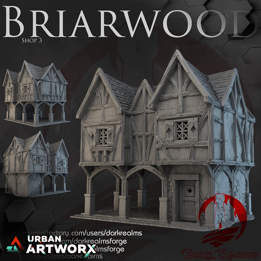 Tabletopgelände - Dark Realms - Briarwood - Shop 3 Dark Realms 